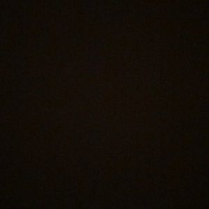 Meet your Posher, Lexy